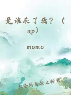 是谁杀了我？（np）