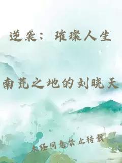 逆袭：璀璨人生