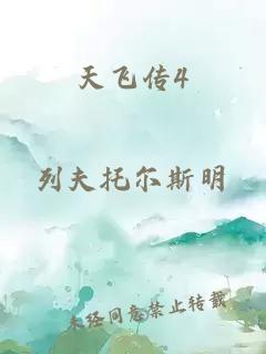 天飞传4