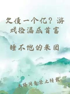 欠债一个亿？游戏捡漏成首富