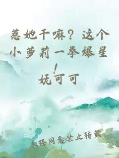 惹她干嘛？这个小萝莉一拳爆星！