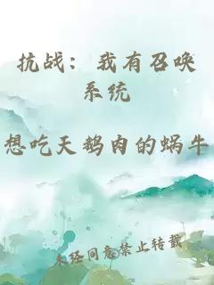 抗战：我有召唤系统