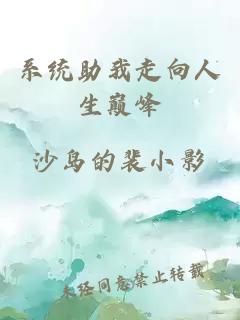 系统助我走向人生巅峰