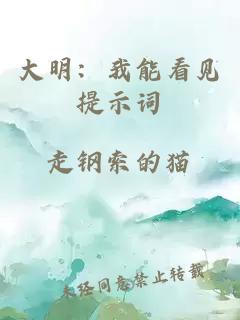 大明：我能看见提示词
