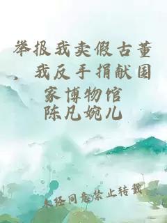 举报我卖假古董，我反手捐献国家博物馆