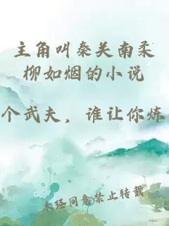 主角叫秦关南柔柳如烟的小说