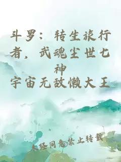 斗罗：转生旅行者，武魂尘世七神