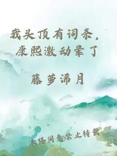 我头顶有词条，康熙激动晕了