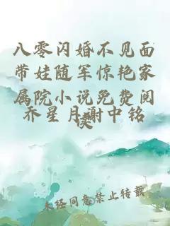 八零闪婚不见面带娃随军惊艳家属院小说免费阅读