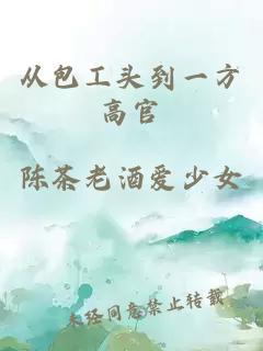 从包工头到一方高官