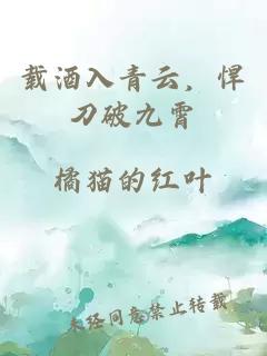 载酒入青云，悍刀破九霄