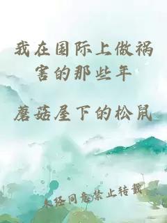 我在国际上做祸害的那些年