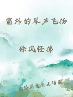 窗外的琴声飞扬