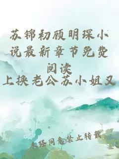 苏锦初顾明琛小说最新章节免费阅读