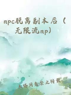 npc脱离副本后（无限流np）