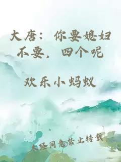 大唐：你要媳妇不要，四个呢