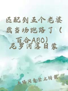 匹配到五个老婆我当场跑路了（百合ABO）