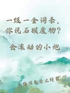 一级一金词条，你说石猴废物？