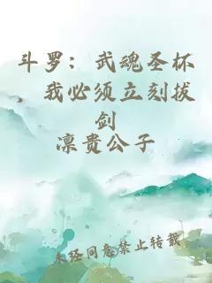 斗罗：武魂圣杯，我必须立刻拔剑