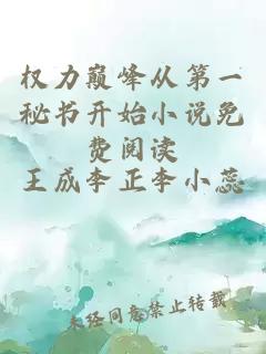 权力巅峰从第一秘书开始小说免费阅读
