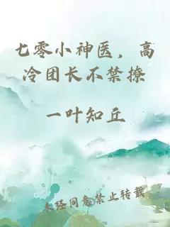 七零小神医，高冷团长不禁撩
