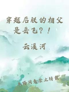 穿越后朕的相父是岳飞？！