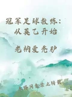 冠军足球教练：从英乙开始