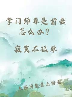 掌门师尊是前妻怎么办？