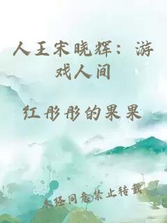 人王宋晓辉：游戏人间