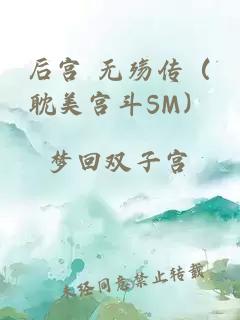 后宫 无殇传（耽美宫斗SM）