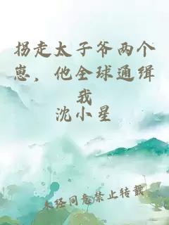 拐走太子爷两个崽，他全球通缉我