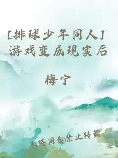 [排球少年同人] 游戏变成现实后