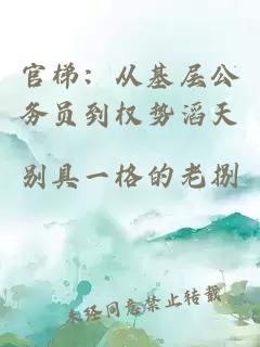 官梯：从基层公务员到权势滔天