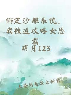 绑定沙雕系统，我被迫攻略女总裁