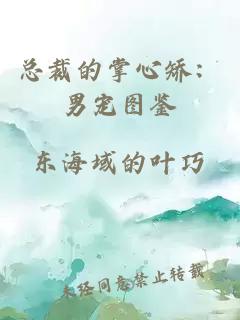 总裁的掌心矫：男宠图鉴