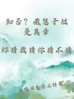 知否？藏慧于拙是真章