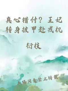 真心错付？王妃转身披甲赴戎机