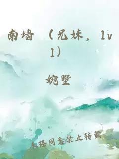 南墙 （兄妹，1v1）