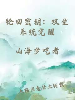 轮回密钥：双生系统觉醒