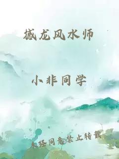 撼龙风水师