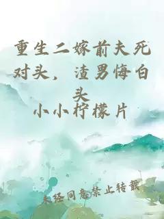 重生二嫁前夫死对头，渣男悔白头