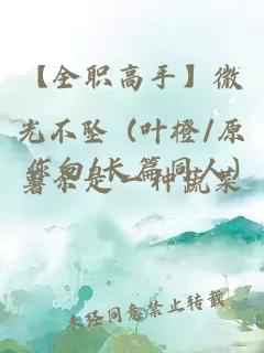 【全职高手】微光不坠 (叶橙/原作向/长篇同人)