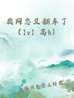 我网恋又翻车了（1v1 高h）
