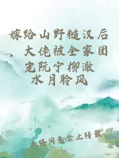 嫁给山野糙汉后，大佬被全家团宠阮宁柳澈