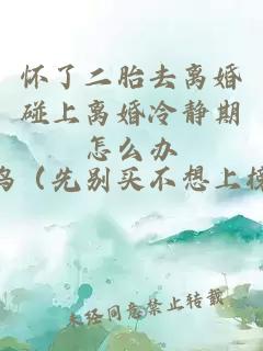 怀了二胎去离婚碰上离婚冷静期怎么办