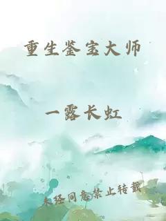 重生鉴宝大师