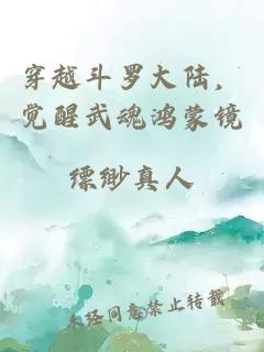 穿越斗罗大陆，觉醒武魂鸿蒙镜