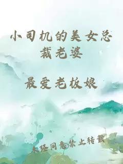 小司机的美女总裁老婆