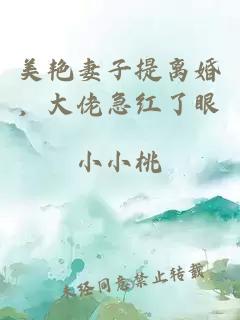 美艳妻子提离婚，大佬急红了眼